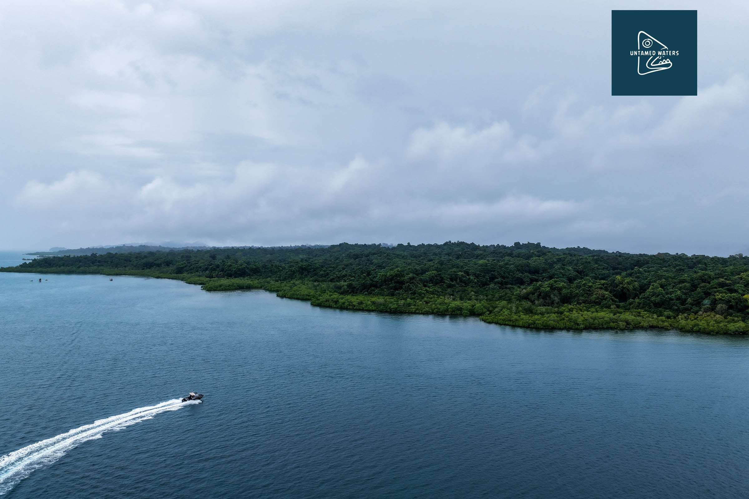 SECLUDED BEACHES & RAINFOREST